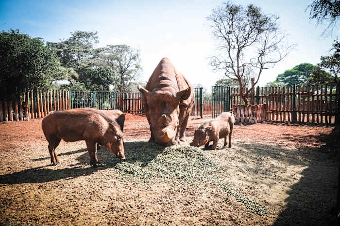 Maxwell-5 - GALLERY.jpg